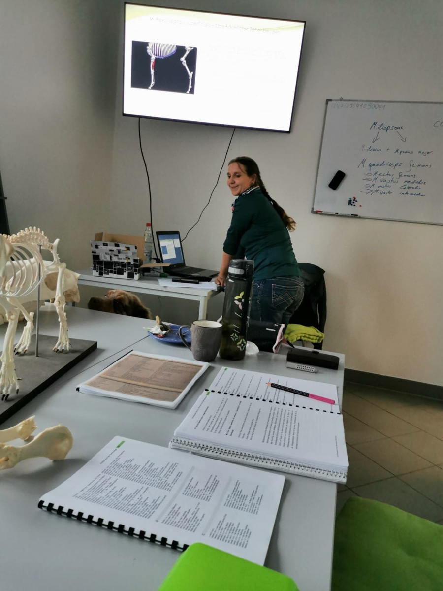 Unterricht im Klassenraum des ESG Bildungszentrums mit Whiteboard, Skelettmodellen und Lehrskripten